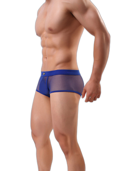 Men's Sexy Transparent Mesh Trunks