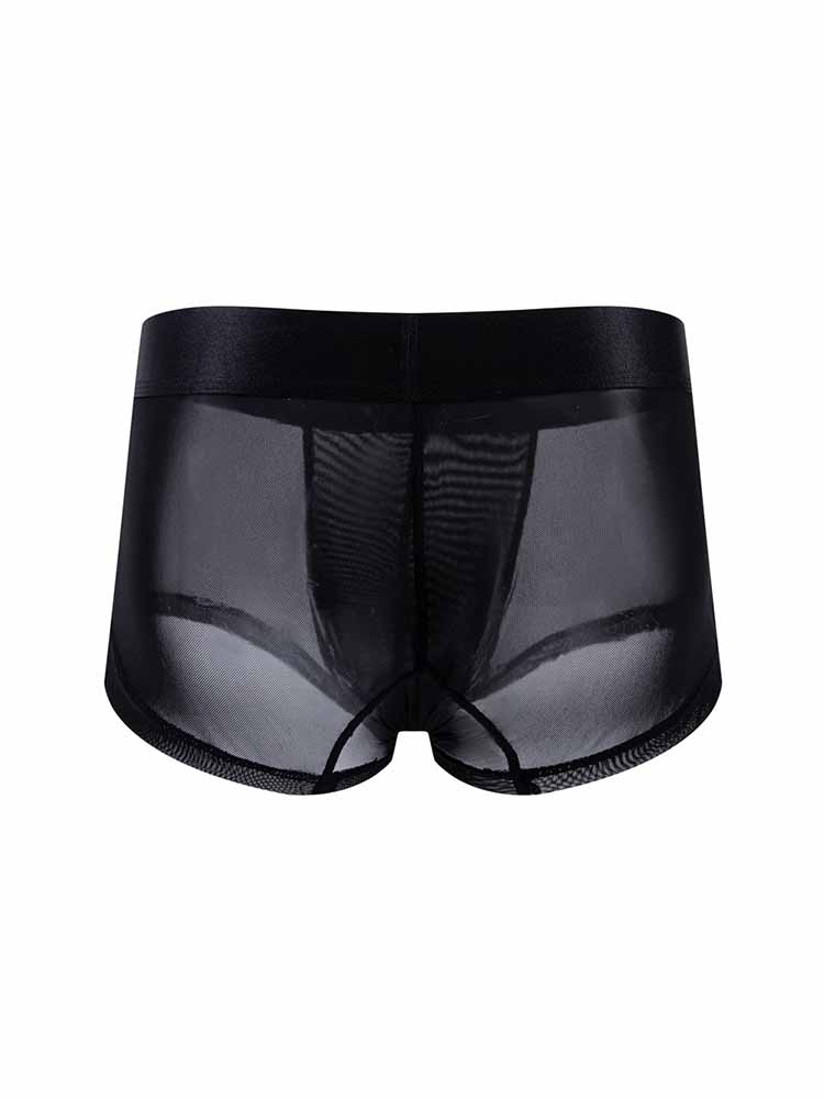 Men's Transparent Mesh Trunks
