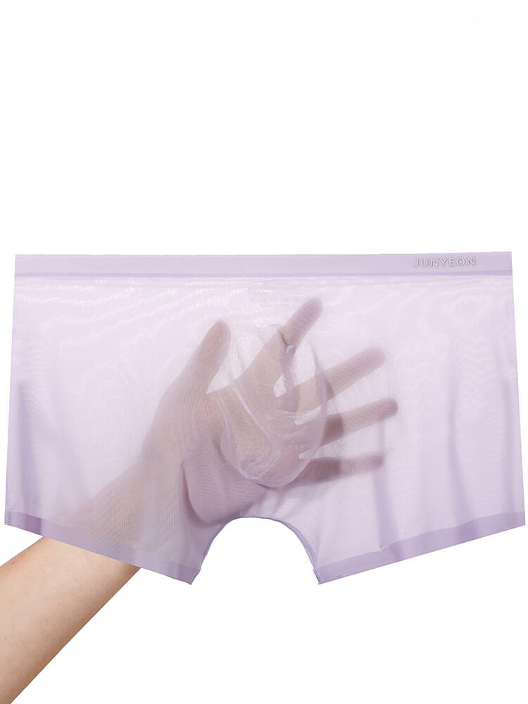 Men's Sexy Sheer Ultra-Thin Ice Silk Boxer Briefs