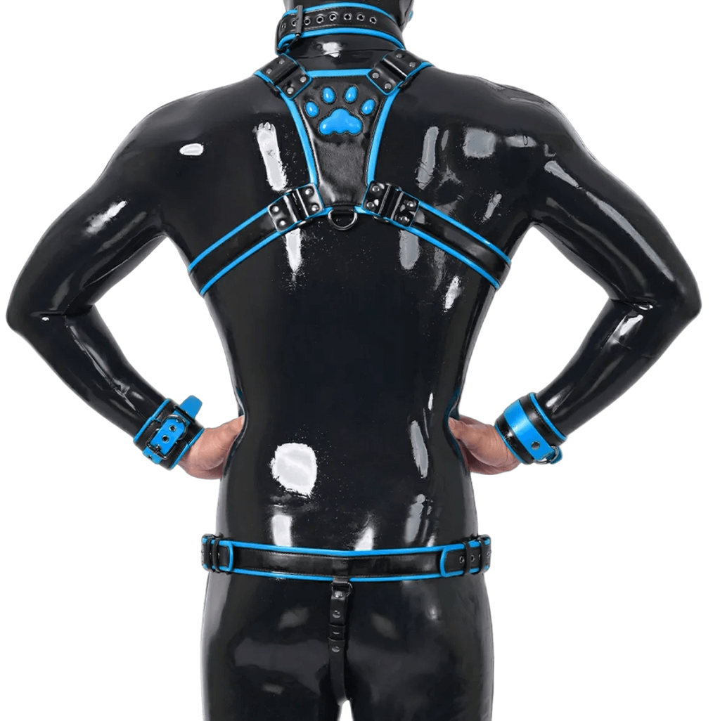 Furrjoi Harness, Cuff, Collar, Lead Underwear Bundle Blue