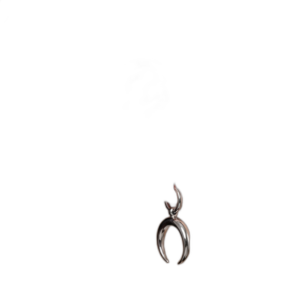 Crescent Moon Earrings