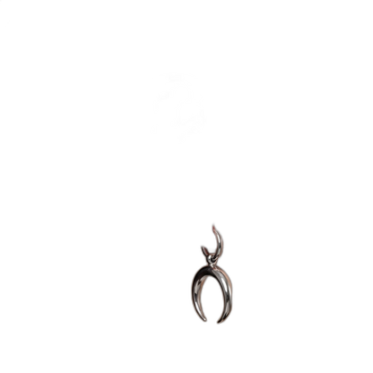 Crescent Moon Earrings