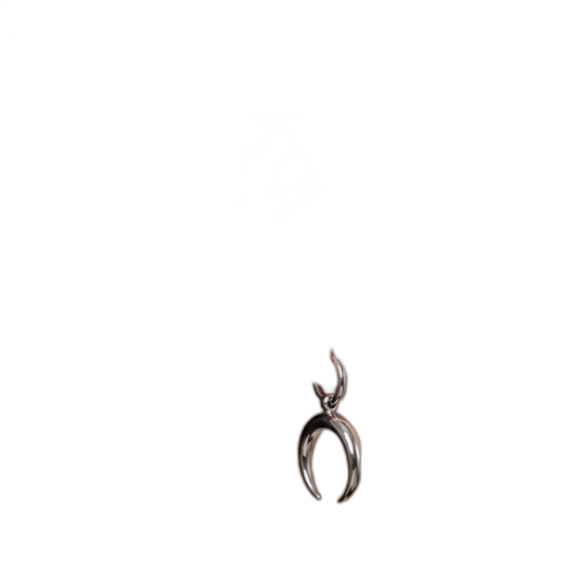 Crescent Moon Earrings