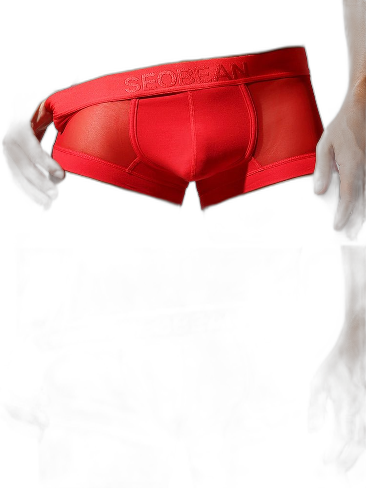 2 Pack Men's Stay-Put Fit Lightweight & Airy Solid Color Semi-Transparent Trunks
