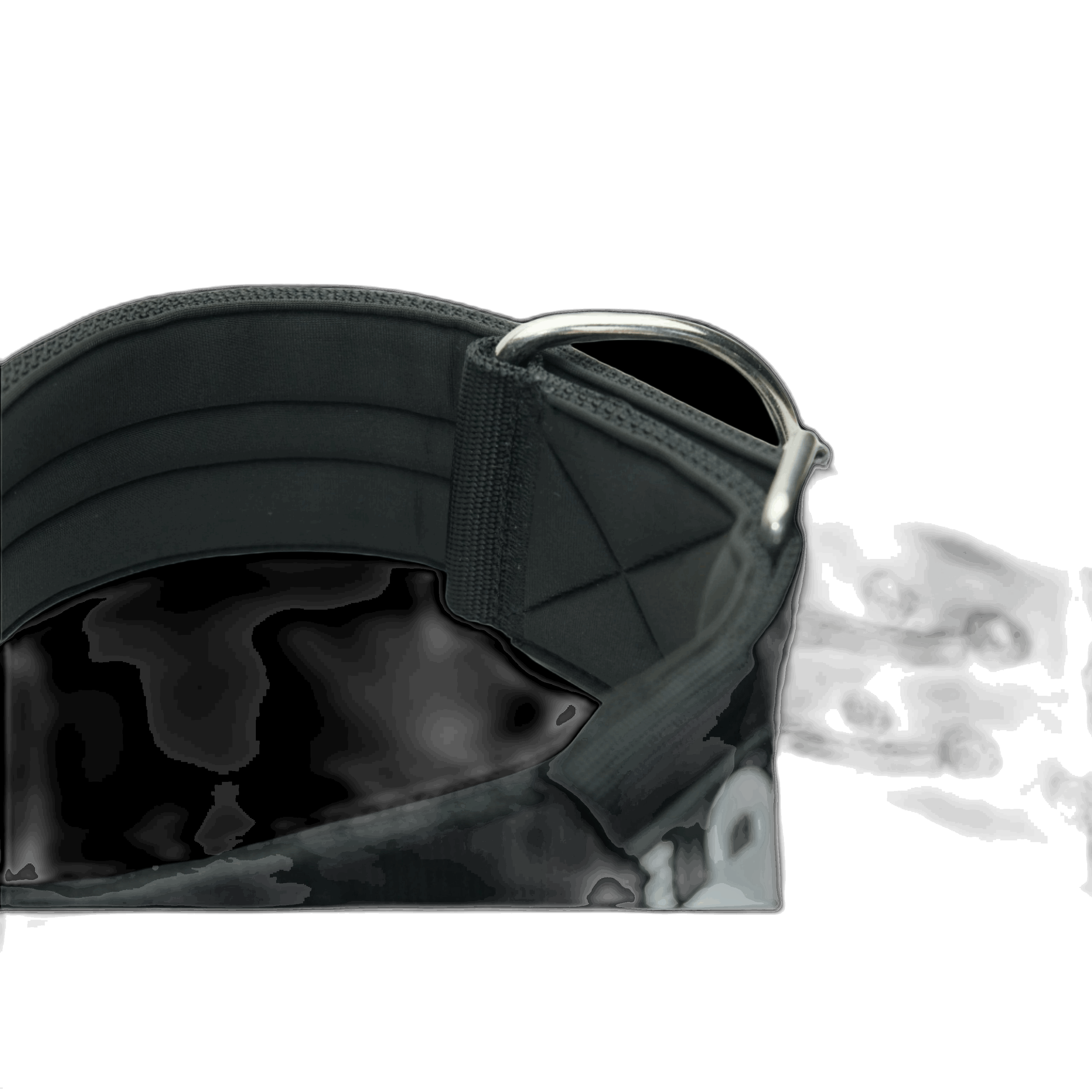 Pure Dog K9 Sport Collar Black