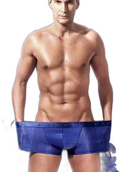 Men's Mesh Thin Ice Silk High-Stretch Comfy Waistband Trunks