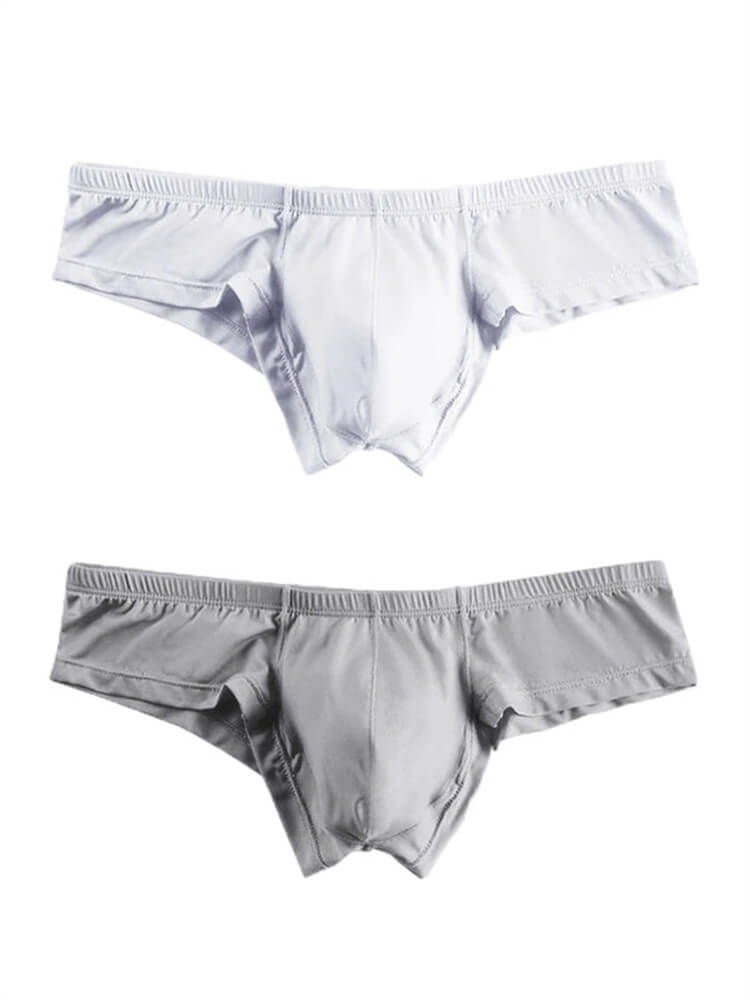 2 Pack Men's Low Rise Breathable Modal Briefs
