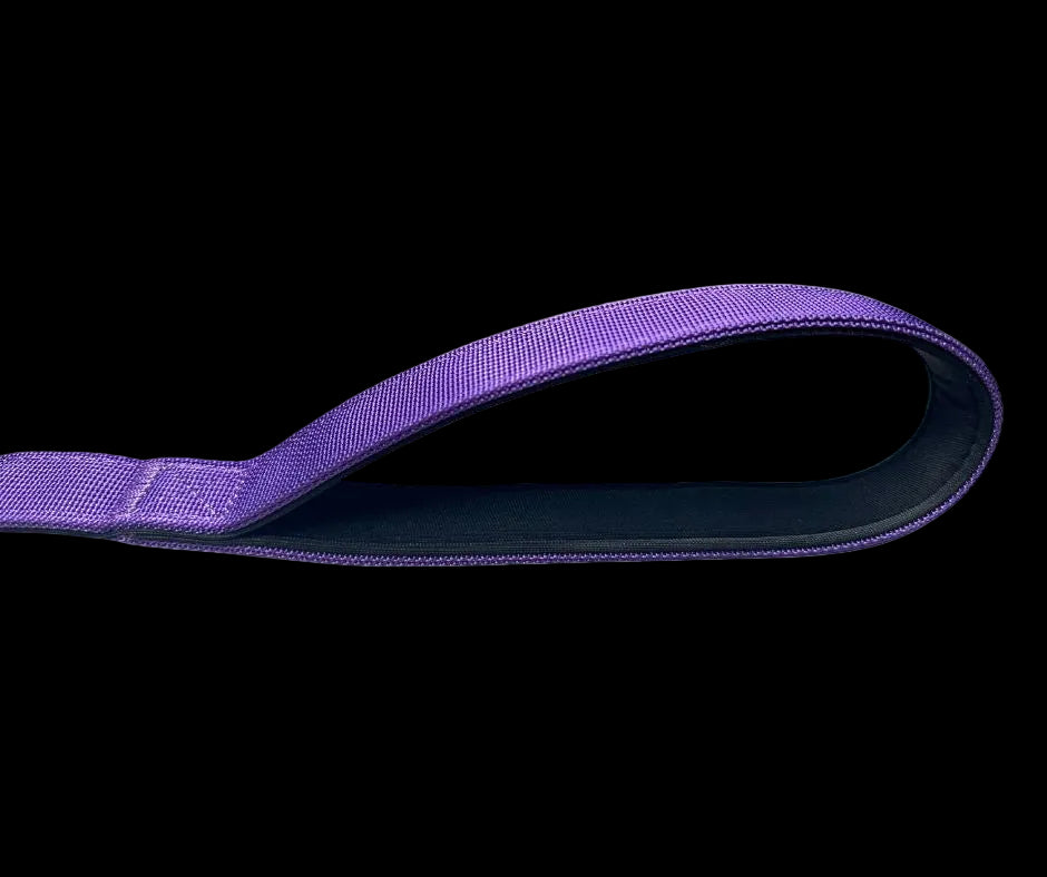 Tactical Carabiner Clip Lead Purple