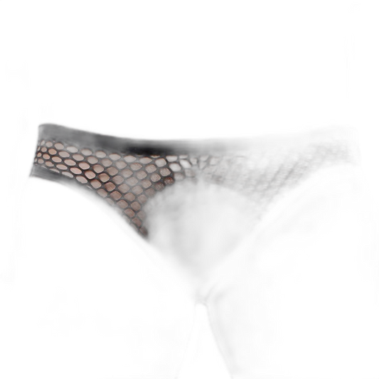 Mesh Magic Low Waist Men's Briefs
