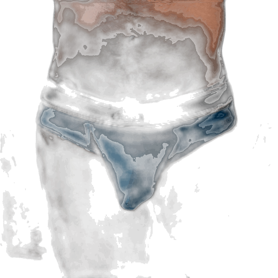 DEN Hybrid Brief - Blue