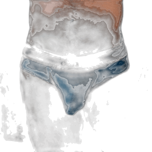 DEN Hybrid Brief - Blue