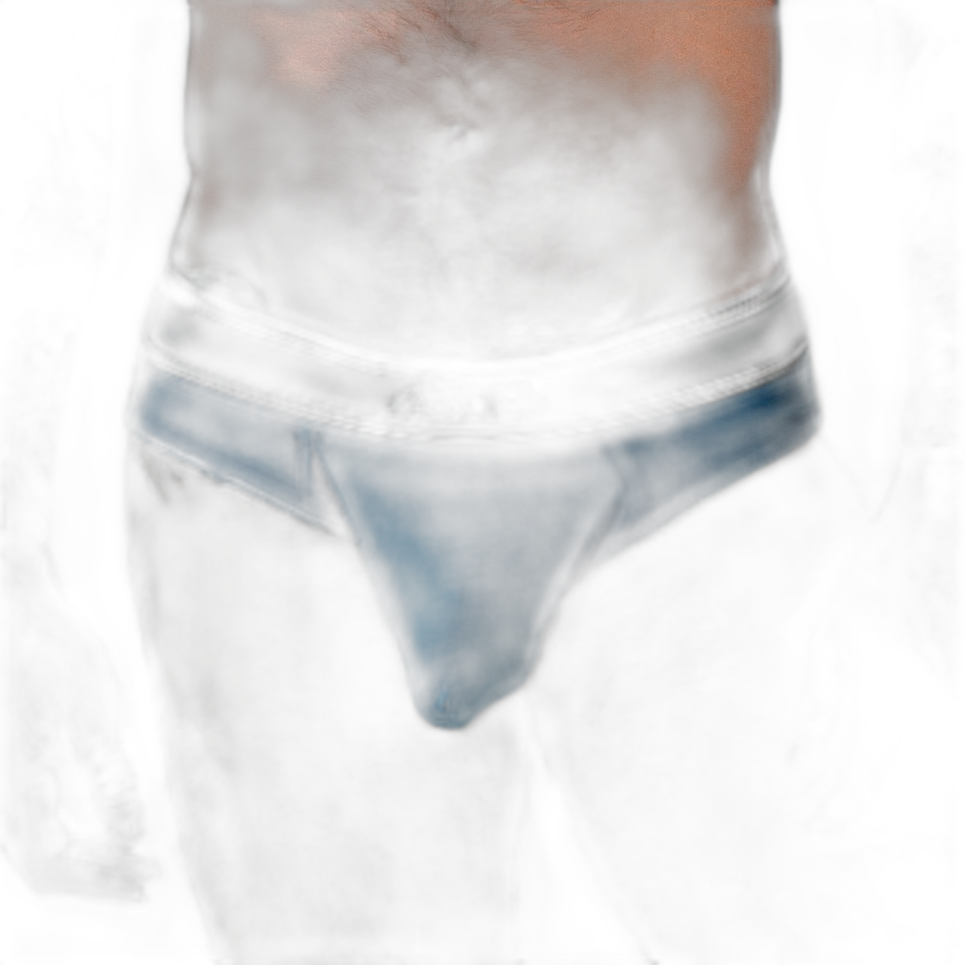 DEN Hybrid Brief - Blue