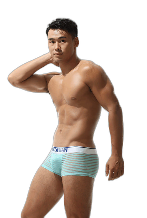 Men's Sexy Transparent Striped Trunks