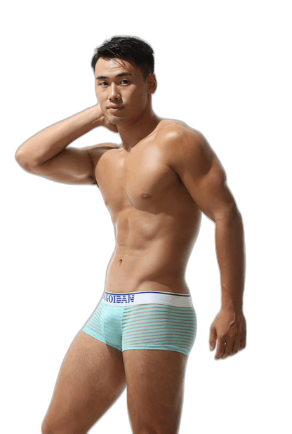 Men's Sexy Transparent Striped Trunks