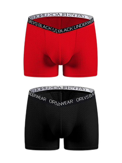 2 Pack Men's Sexy V-shape Waistband Mesh Trunks
