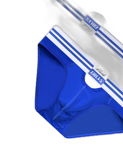 2 Pack Men's Low-Rise Breathable Modal briefs