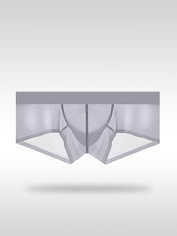 Men's Sexy Tight Transparent Low Rise Trunks