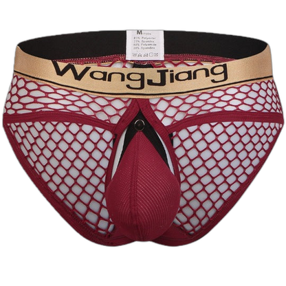 Mens Sexy Mesh Breathable U Convex Pouch Briefs