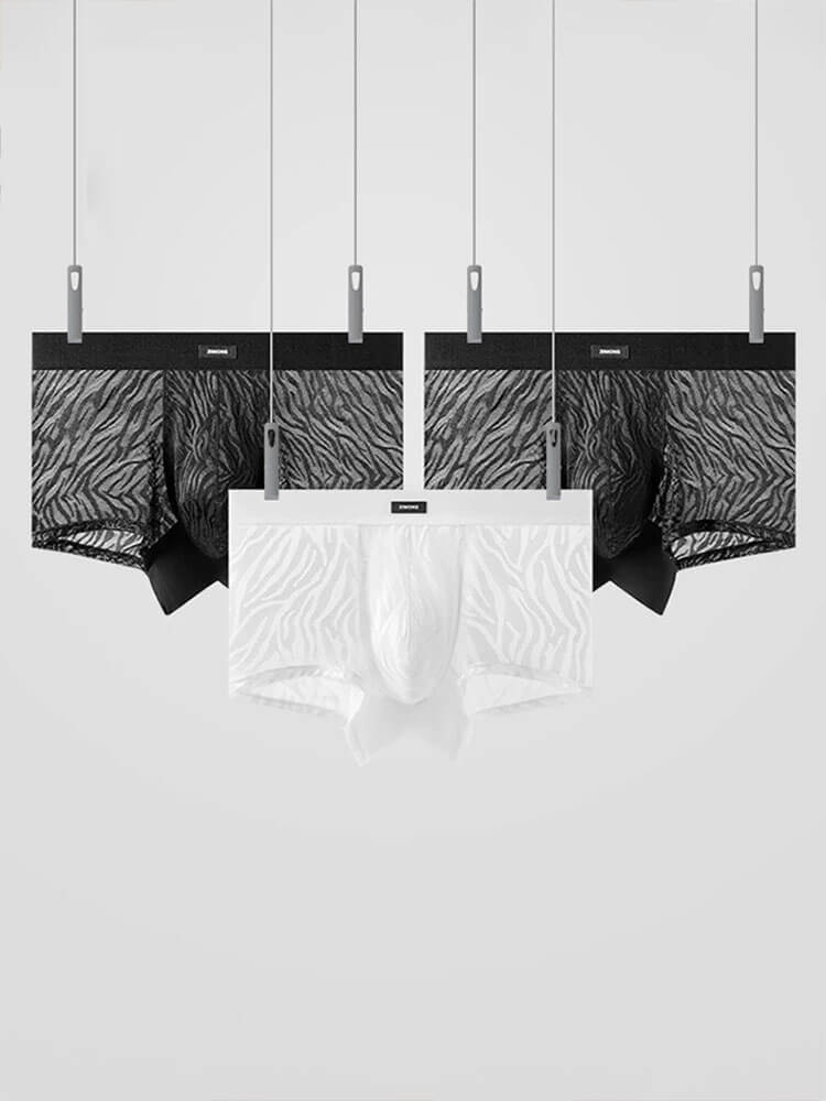 Men's Sexy Lace Transparent Boxer Briefs Set