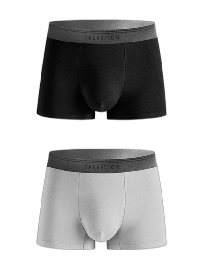2 Pack Men's Anti-Bacterial Modal Trunks