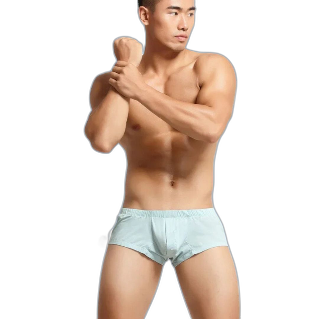 SEOBEAN Heritage Fit Boxer Shorts