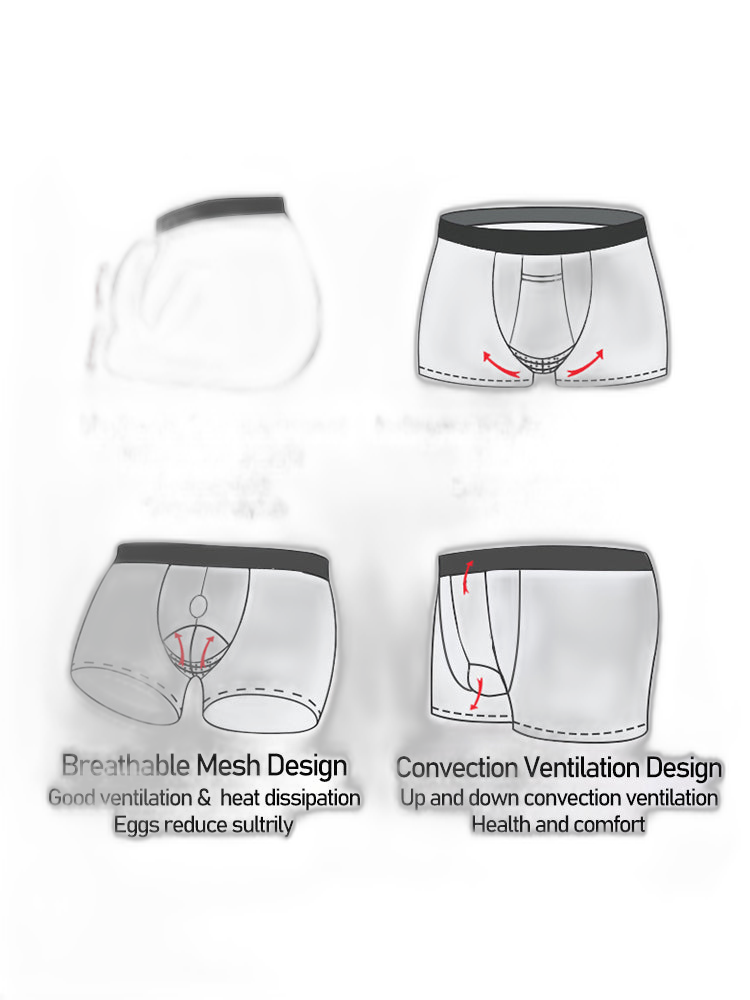 Men's Modal Dual Separate Pouch Trunks
