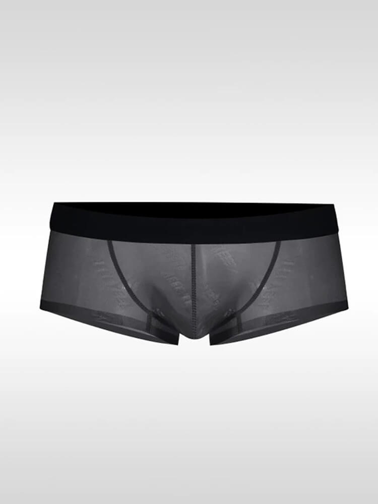 Men's Ultra-Thin Sexy Sheer High-Cut Underwear