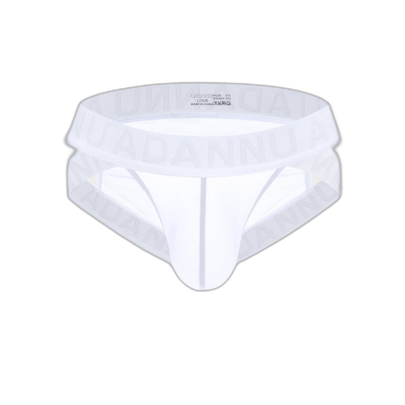 Sheer Mesh Brief