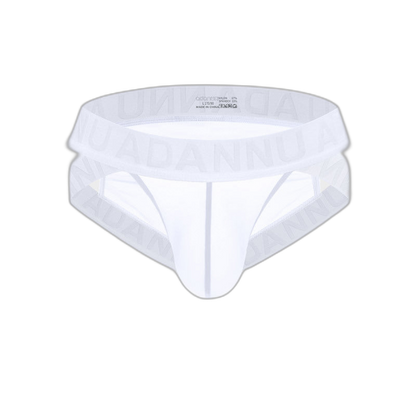 Sheer Mesh Brief