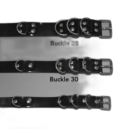Multi-D Buckle Style Silicone Collar
