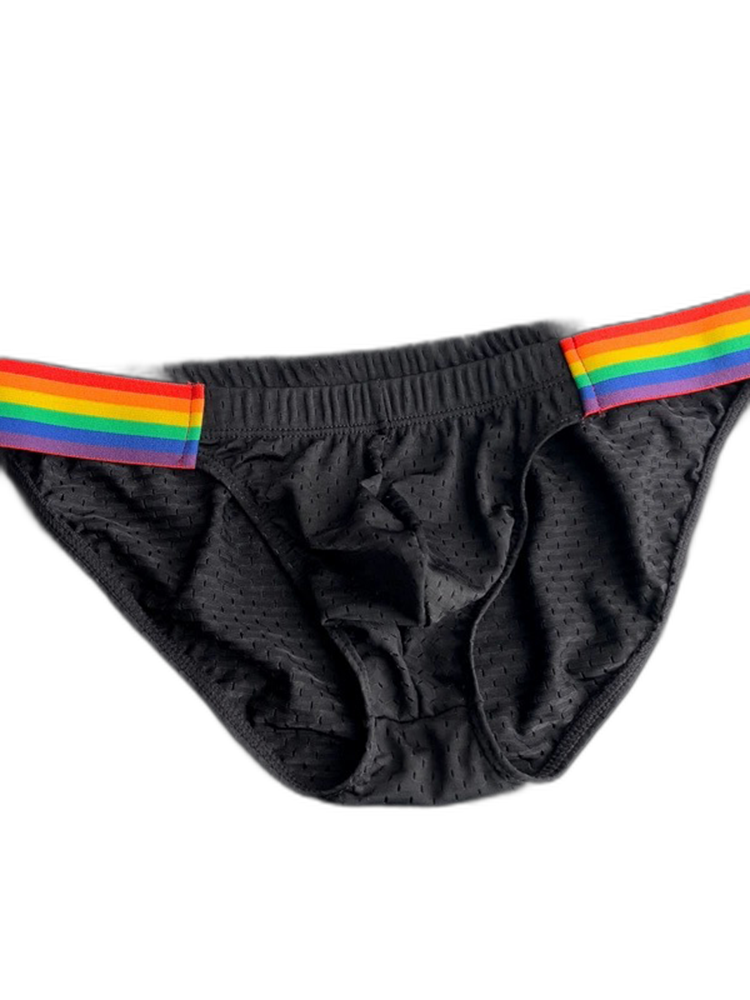 Men's Sexy Rainbow Pride Mesh Bikini
