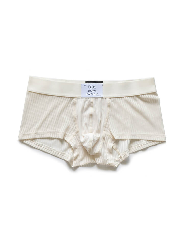 D.M Men's Sexy Mesh Sheer Solid Color Boxer Briefs