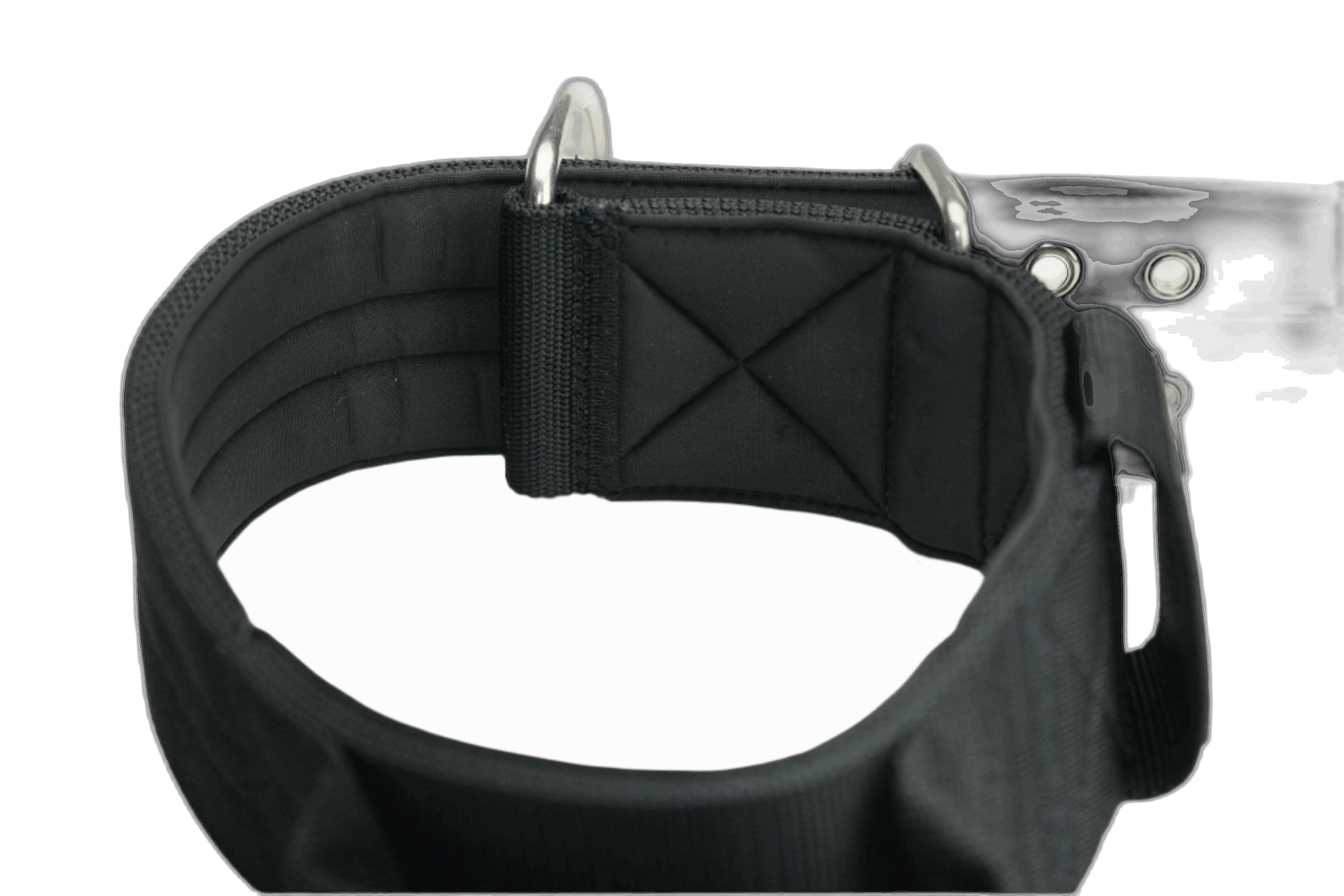 Pure Dog K9 Sport Collar Black