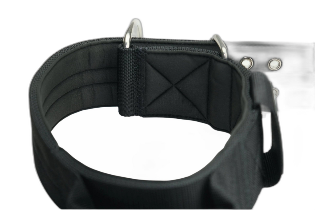 Pure Dog K9 Sport Collar Black