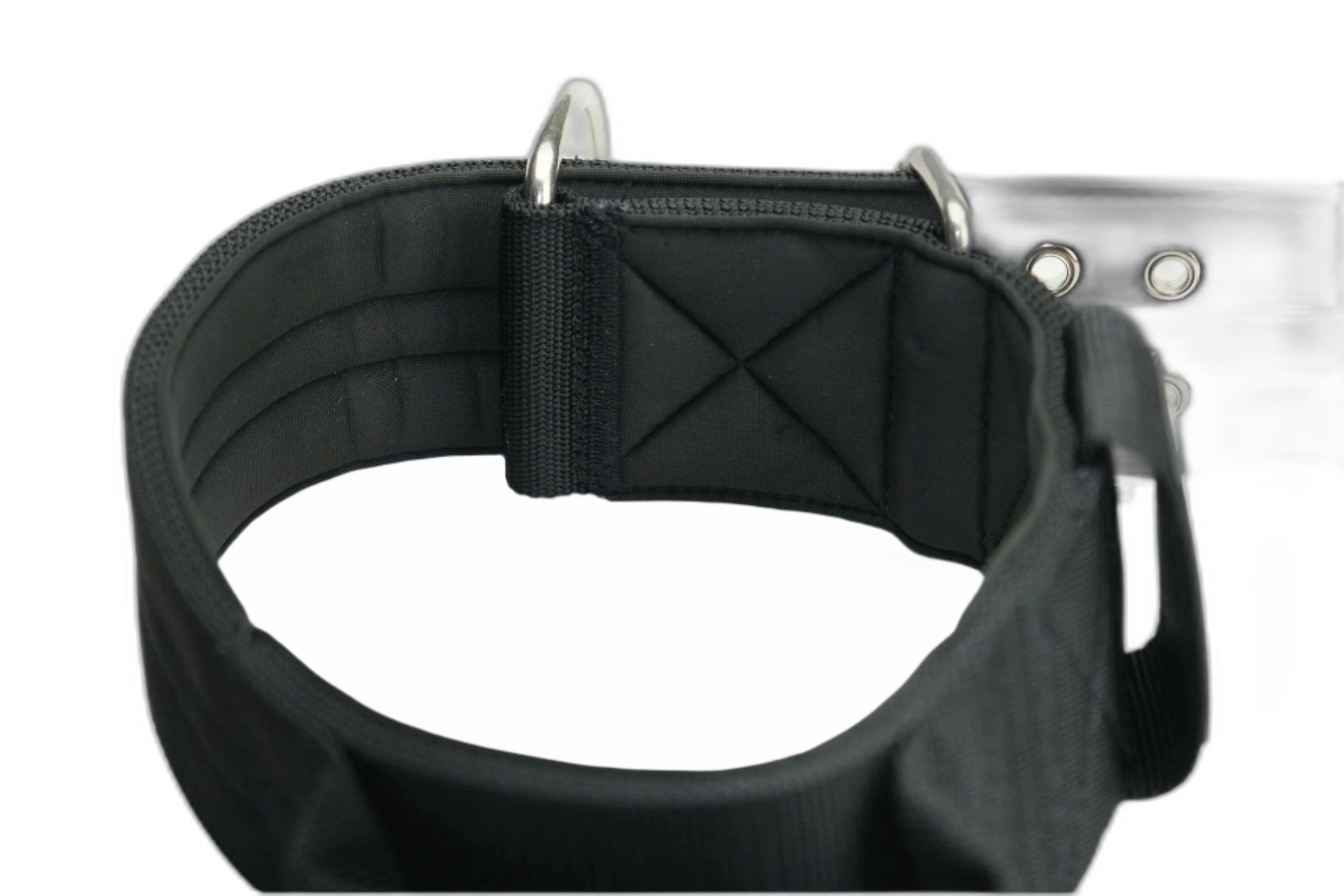 Pure Dog K9 Sport Collar Black