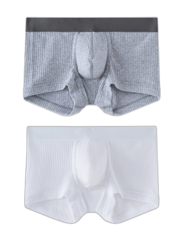 2 Pack Men's Ultra-Soft Premium Pure Cotton Comfy Waistband Seamless Trunks