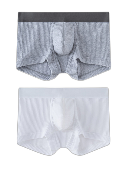 2 Pack Men's Ultra-Soft Premium Pure Cotton Comfy Waistband Seamless Trunks