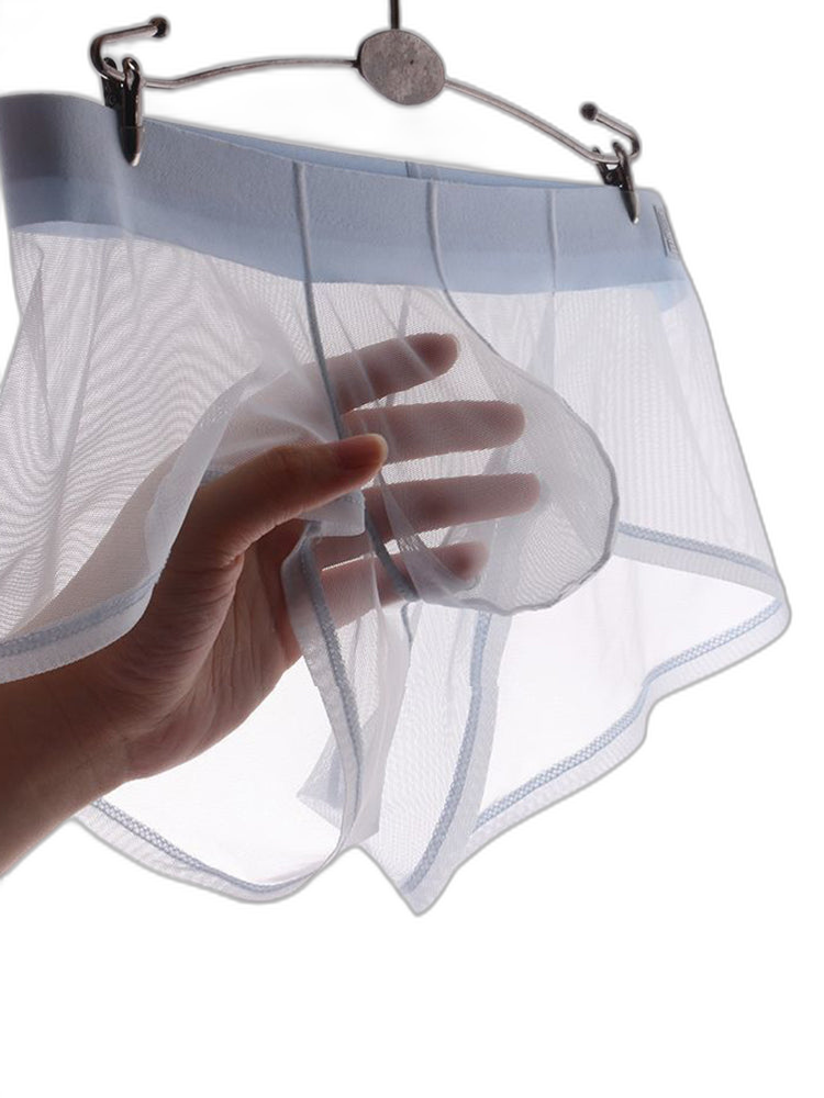 Men's Ultra-thin Low-Rise See-Through Ice Silk Briefs