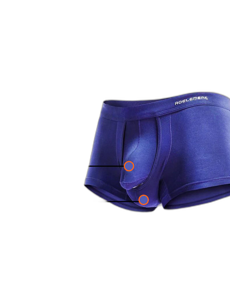 Men's Double Pouch Underwear Separate Pouch Modal Trunks