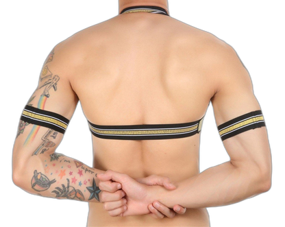 Gold Glitter Harness