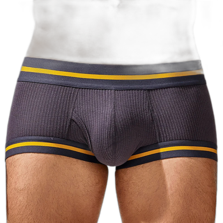Tauwell Retro Era Boxer Briefs