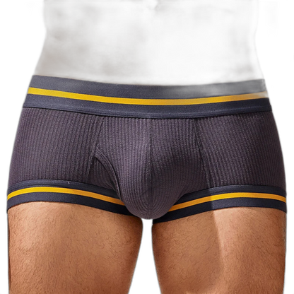 Tauwell Retro Era Boxer Briefs