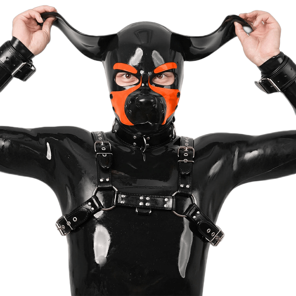Furrjoi Silicone Beagle Hood Orange