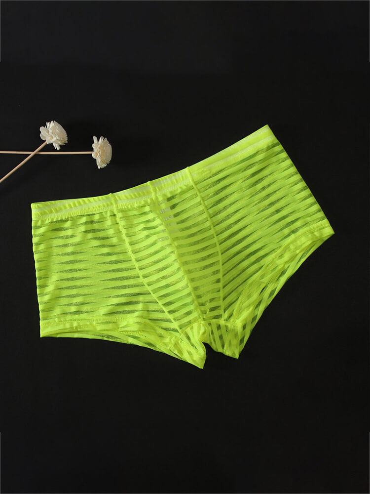 Men's Sexy Mesh Transparent Striped Boxer Briefs