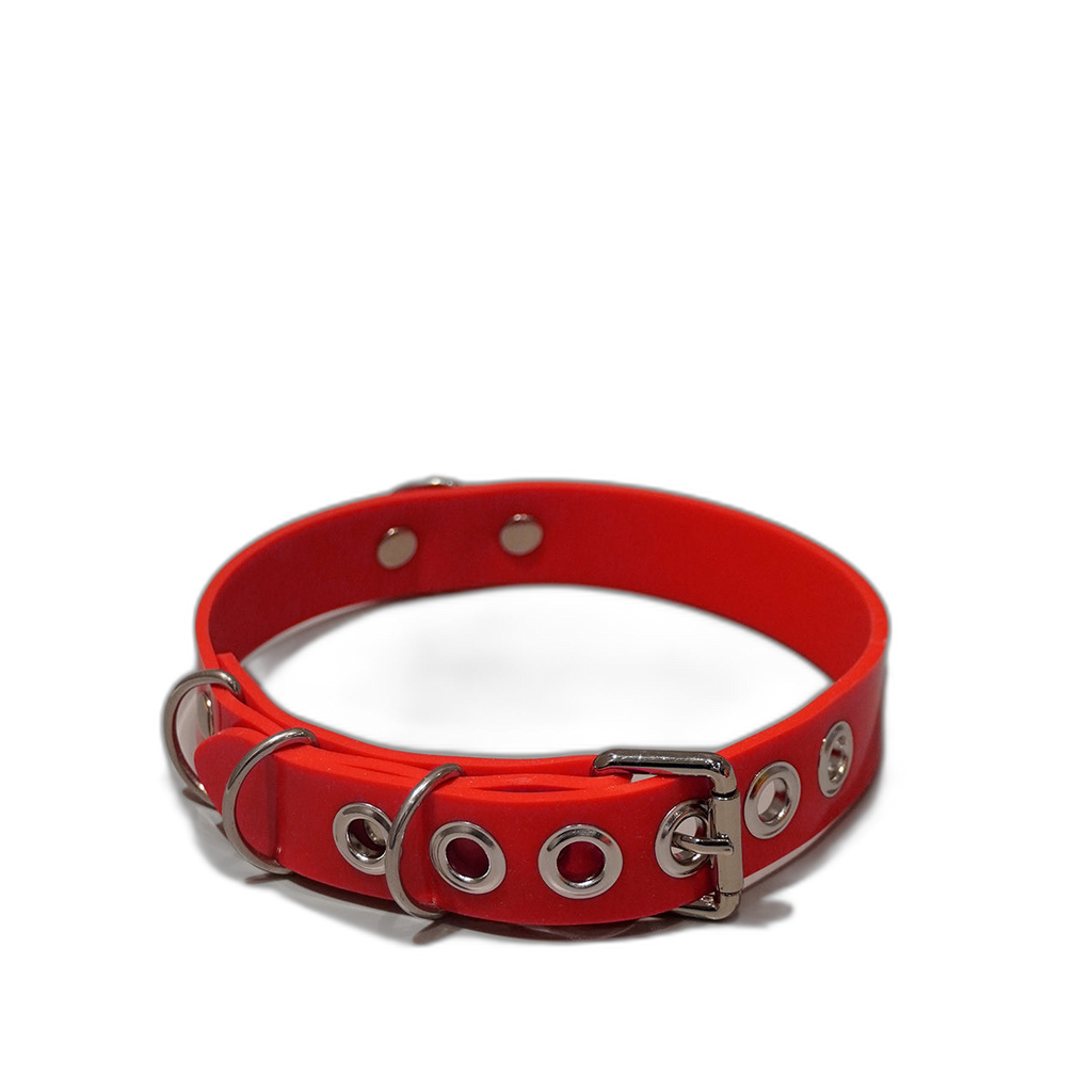 Multi-D Buckle Style Silicone Collar