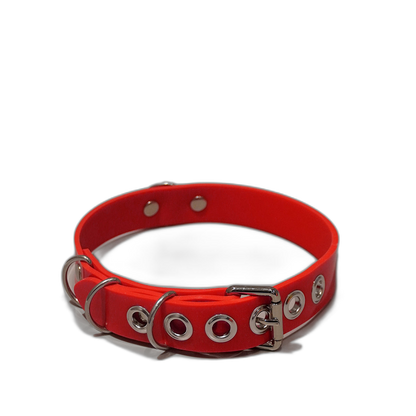 Multi-D Buckle Style Silicone Collar