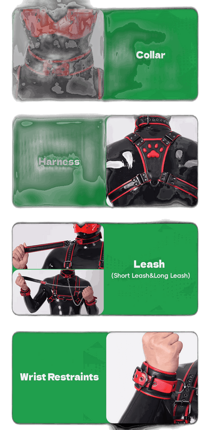 Furrjoi Harness, Cuff, Collar, Lead Underwear Bundle Black