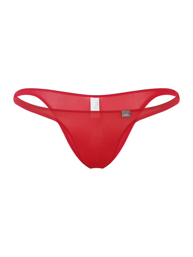 Men's Sexy Low-Rise Semi-Covering Sheer Briefs