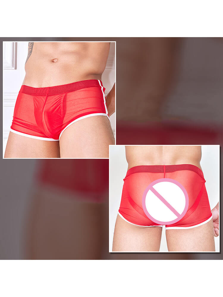 Men's Sexy Sheer Nylon Boxer Briefs