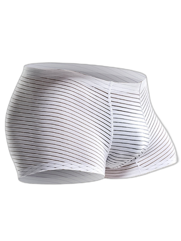2 Pack Silk Striped Men's Super Thin Underwear